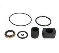 Kit tappo perdite trasmissione SIERRA 118-2598