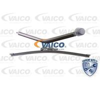 Kit tergicristalli posteriore Dx PBT (polibutilenetereflatato) V20-2924 VAICO