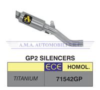 Kit terminale GP2 Aprilia RSV 4 RR / RF Anni 2017 2018