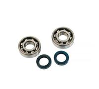 Kit TOP Cuscinetto E Guarnizioni Albero Motore Peugeot Ludix 50cc Moto