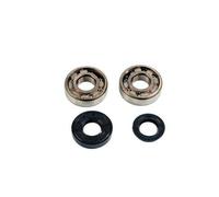 Kit TOP Cuscinetto E Guarnizioni Albero Motore Scooter Minarelli 50 Moto Motore