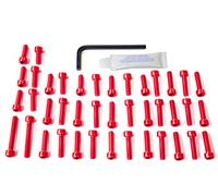 Kit tornillería alluminio motore Pro-Bolt EOKT50