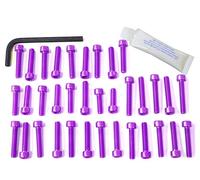 Kit tornillería Aluminio Motor Pro di Bolt eho018