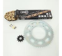 Kit trasmissione Afam per Moto Rieju 50 MRX 2008 11x52 passo 420 132L / 08001614