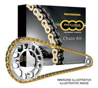 KIT TRASMISSIONE CORONA, CATENA, PIGNONE REGINA PER BETAMOTOR 350 RR 13-24