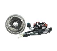 Kit universale per volano magnete statore accensione motore LF140 compatibile con - 140 140cc 1P55FMJ Motori con avviamento a pedale orizzontale Dirt Bike Aftermarket Parte di ricambio