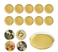 Kit Valutazione Accurato Per Muffa Per Casa Include Guida Facile Da Seguire