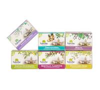 Kit Valverbe Family Time 6 tisane da 20 filtri cad