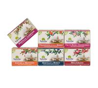 Kit Valverbe Frutta All Day 6 tisane da 20 filtri cad
