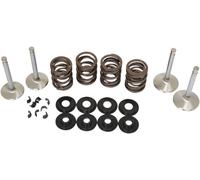 Kit valvola principale Race alzata .600" 05-17 Twin Cam Manley