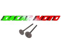 KIT VALVOLE ASPIRAZIONE E SCARICO PEUGEOT DJANGO 150 FIGHT3 125 TWEET 125/150