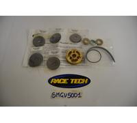 Kit valvole oro ammortizzatore 50X12mm RACE TECH Shock gold valve kit Honda CRF