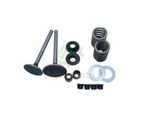 Kit Valvole per motore diesel L 170 173 FA L 48 Yanmar Kama Vulcan Zanetti