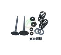 Kit Valvole per motore diesel L 176 178 FA L 70 Yanmar Kama Vulcan Zanetti