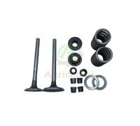 Kit Valvole per motore diesel L 186 188 FA L 100 Yanmar Kama Vulcan Zanetti