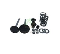 Kit Valvole per motore diesel L 186 188 FA L 100 Yanmar Kama Vulcan Zanetti