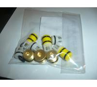 KIT VALVOLE TAPPI POMPE IDROPULITRICI LAVORWASH ORIGINALI 6.005.0315 GIANT 24