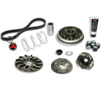 Kit Variatore Completo Malossi per Honda Forza 300 2013 2014 2015 2016 2017 2018