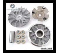 Kit Variatore Completo per Kreidler RMC-E 50 Florett 45 km/h Roller Grigio