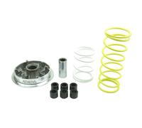 KIT VARIATORE COMPLETO SPEEDMATIC per HONDA FES FORESIGHT 4T LC 250