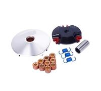 Kit variatore con rulli e puleggia di trasmissione adatti for motori scooter 50 3KJ 1PE40QMB