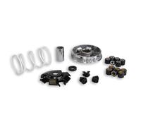 Kit Variatore Malossi Multivar 2000 per Gilera Typhoon / X 125 2T