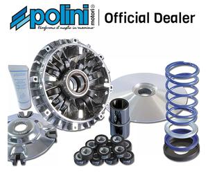 KIT VARIATORE POLINI 241.696 EVOLUTION III T-MAX 500 YAMAHA HI-SPEED 12 RULLI