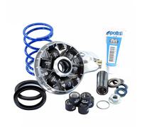 KIT VARIATORE POLINI HI SPEED PER PIAGGIO TYPHOON 2T C29000 50 2001-2008 EVO2