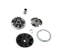 Kit variatore scooter Peso set rulli 10g for TGB 202 Big Wwels 50 203