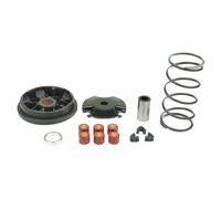Kit Variatore Trasmissione Speedmatic rulli molla per YAMAHA YH WHY 50 2006
