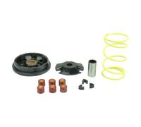 Kit Variatore Trasmissione Speedmatic rulli per PIAGGIO ZIP BIMODALE 50 1994-97