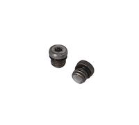 XLC Kit vite di spurgo freni BR-X127 per SRAM/Avid Ø 6 mm M5 x 0,8 mm Argenté