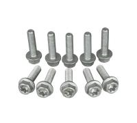 Kit Viti BOLT Torx M5