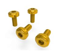 Kit Viti Convogliatori Aria Oro Dbk Per Ducati Multistrada V4 Rs 2024