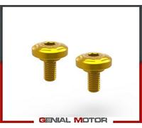 Kit Viti Cornice Radiatore Oro DUCABIKE Ducati DesertX 2022