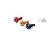 Kit viti parafango anteriore oro Ducati SBK 1098 2006-09 CNC Racing KV320G