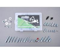 Kit Viti Piccolo / Riparazione BUELL 1190 EBR RR RS RX SX 2012-2014 / 113 Pcs