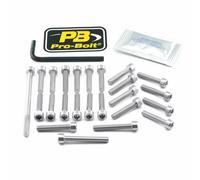 KIT VITI PRO BOLT Argento 24011442