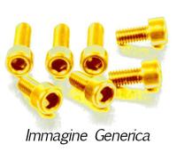 Kit viti serbatoio Evotech in ergal per TUONO 1000 / R 2002 2003 2004 2005 2006