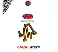 KIT VITI SERBATOIO EVOTECH ERGAL ORO DUCATI MONSTER 1200 MONSTER 1000 DS