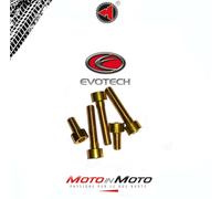 KIT VITI SERBATOIO EVOTECH ERGAL ORO KAWASAKI Z1000 SX 2014 2015 2016