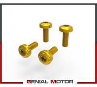 Kit Viti Sotto Coda DUCABIKE KVT17B ORO per Ducati MONSTER 937 2021 > 2022