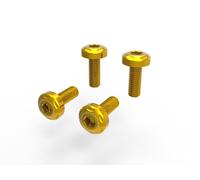 Kit Viti Sotto Coda Oro Ducabike Per Ducati Monster 937 2021 > 2023