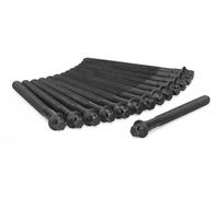Ajusa Kit bulloni testata 81027600 per BMW 3 Sedan (E46), 5 Sedan (E60), X3 (E83)