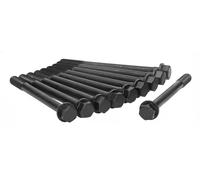 Ajusa Set viti testa cilindri 81031500 per Ford Maverick e Nissan 240SX