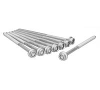 Set di bulloni per testa del cilindro AJUSA 81036000