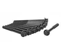 Ajusa Set di bulloni per testa del cilindro 81042900 per Mitsubishi, Nissan, Renault