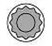 Kit viti testa cilindri Multidentata esterna 258749 AMC