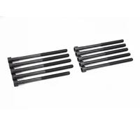 Kit viti testa cilindri Poligonale incassata BK2376 BGA per SSANGYONG KYRON