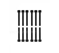 Reinz Set bulloni testata 14-32054-01 per Audi